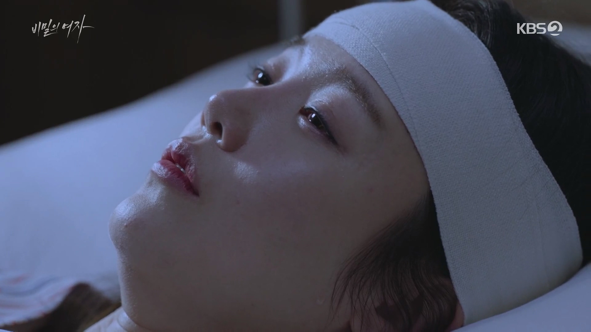 비밀의 여자 줄거리