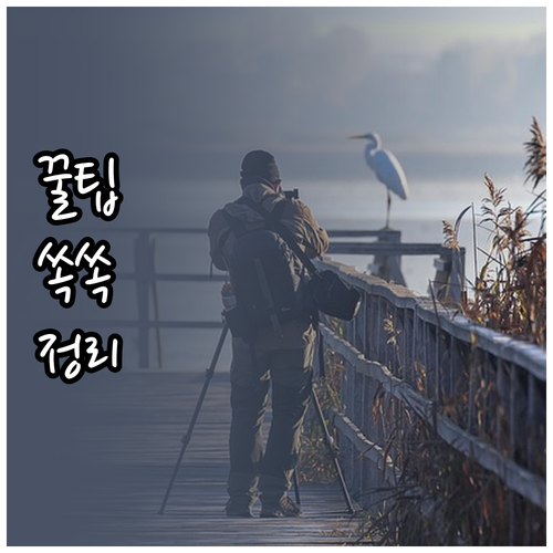 원룸 냄새 곰팡이 해결! 상쾌한 자취..