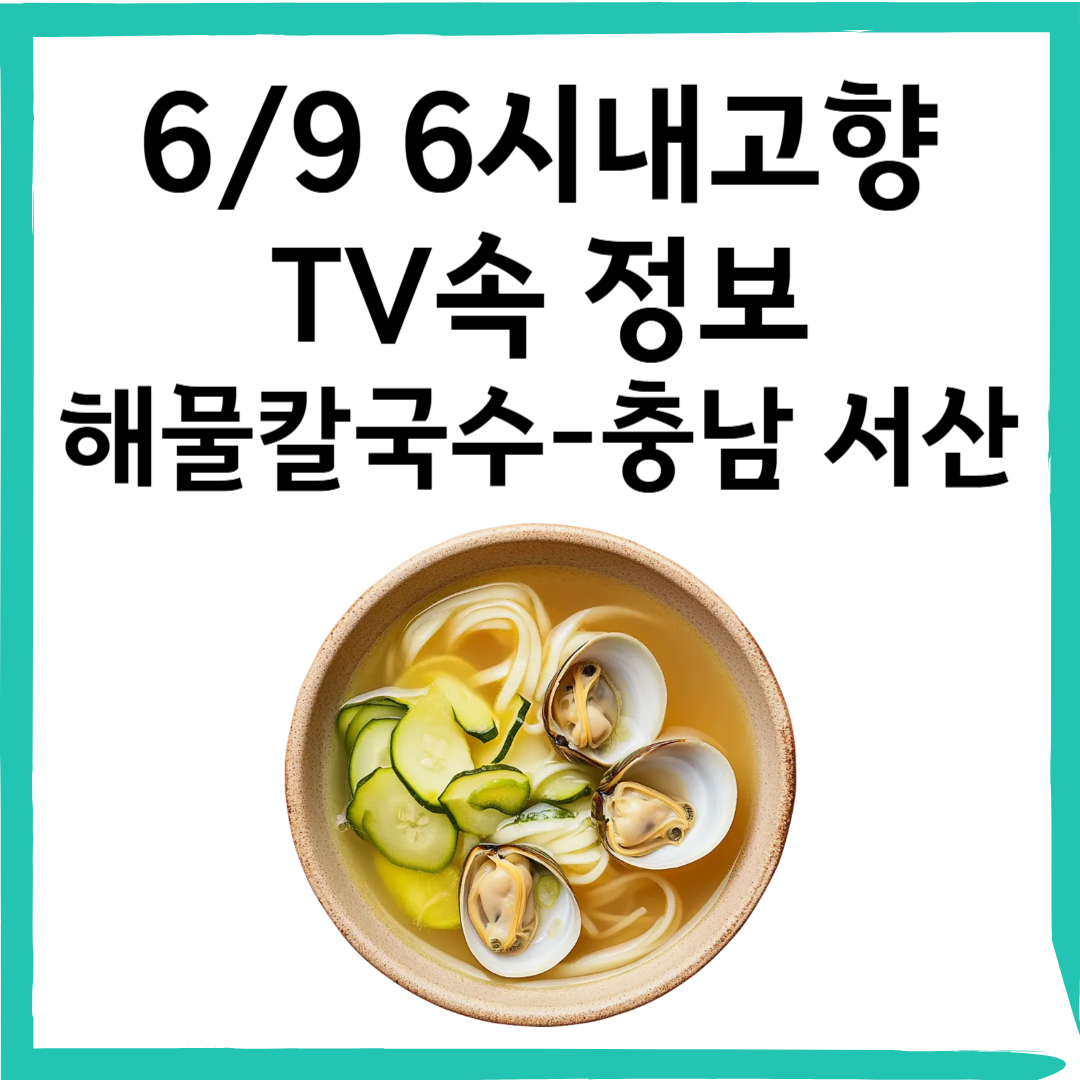 6/9 6시내고향 바다향 가득한 해물 칼국수! 서산 간월도 손칼국수 위치·정보 총정리