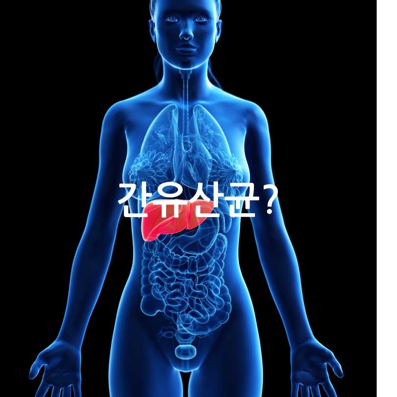 간유산균효능,복용법
