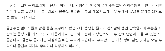 금전수의 원산지 아프리카 탄자니아 정보