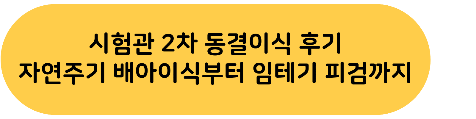 배란테스트기