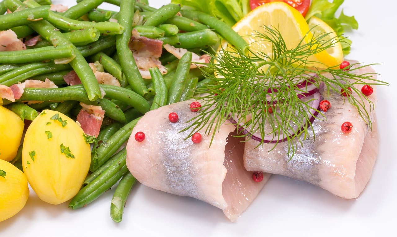 청어(herring) 발효 제품과 비타민 B12 합성, 빈혈 예방 효과