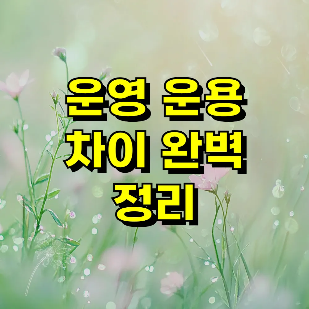 운영 운용 차이 완벽 정리