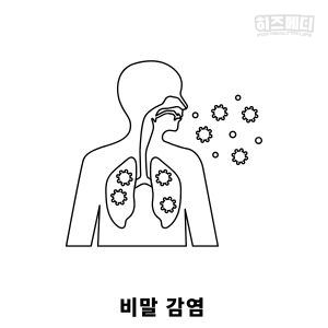 독감 인플루엔자 진단 치료