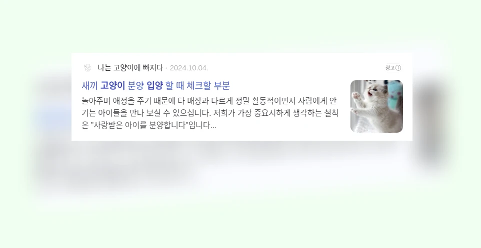 고양이 입양_2_subsection