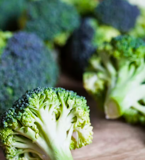 지방간에 좋은 음식 10 영양제 식단