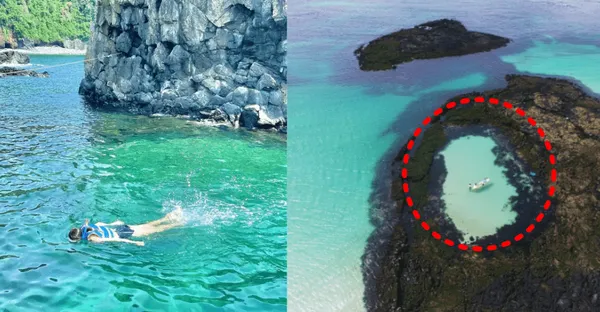 제주도 스노쿨링 준비물과 인기 명소 정리 가이드_1