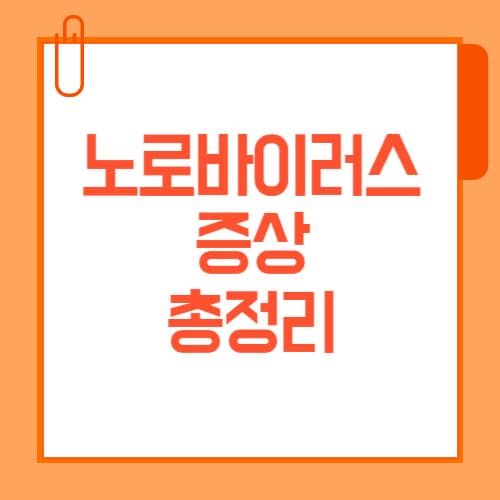 노로바이러스 증상 총정리, 잠복기부터 치료까지 한눈에