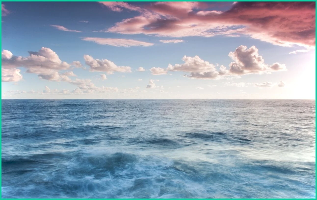 신한은행 예금금리