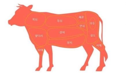 소불고기 고기