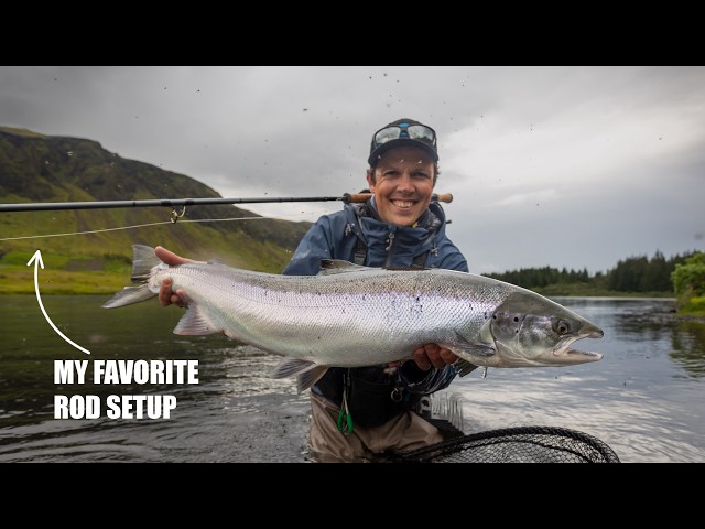 아이슬란드 연어 손으로 잡기 대회