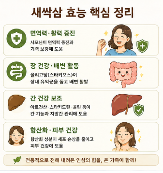 새싹삼-효능-먹는방법-요리-종류-아기-임산부
