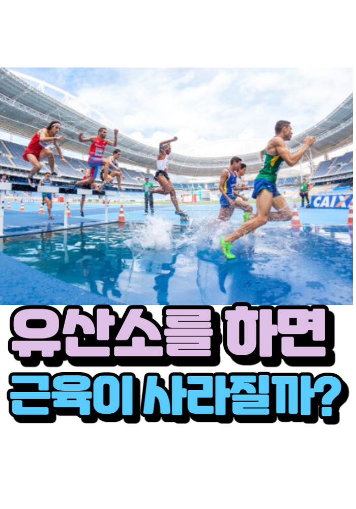 1.유산소를 하면 근육이 사라질까?