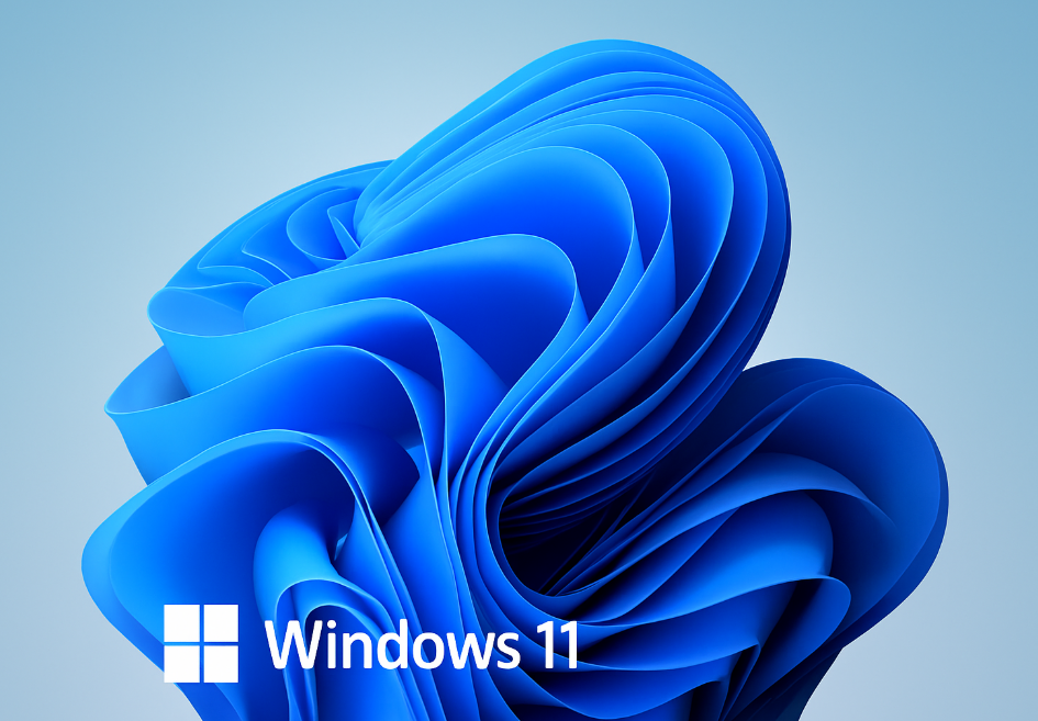 윈도우 11 바탕화면