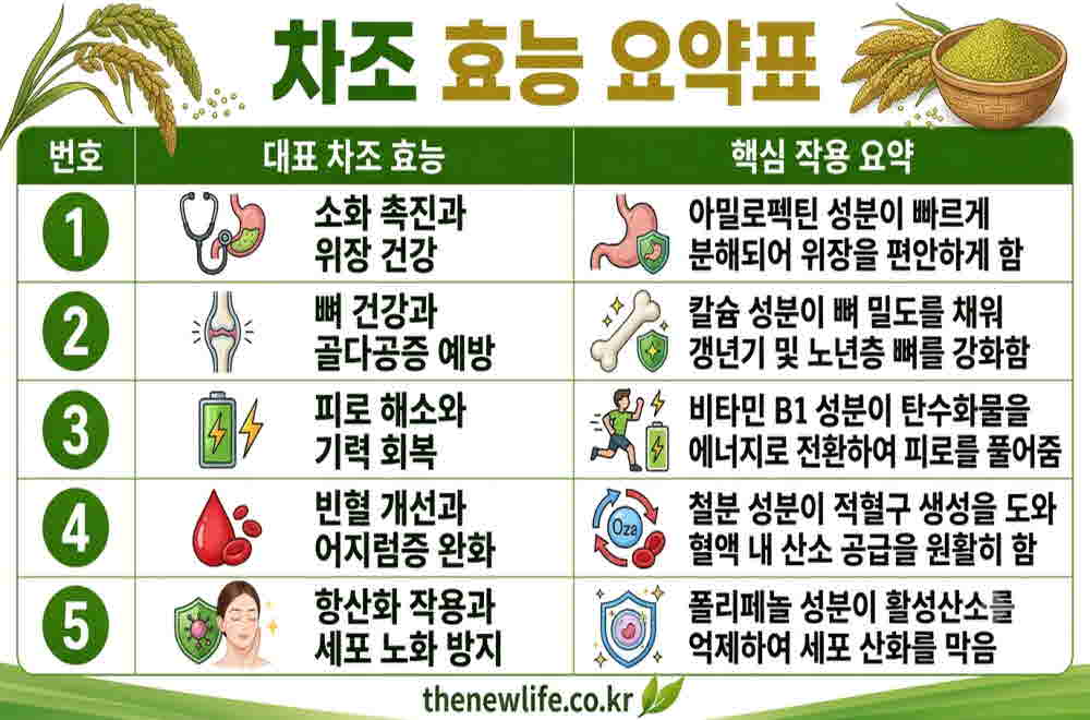 차조 효능 요약표