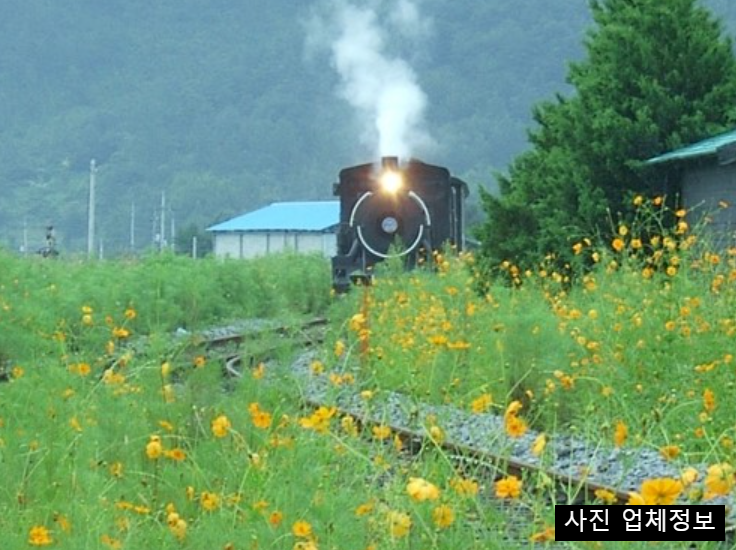 6월 국내 여행지 추천 BEST 5&amp;#44; 초여름 가볼만한곳