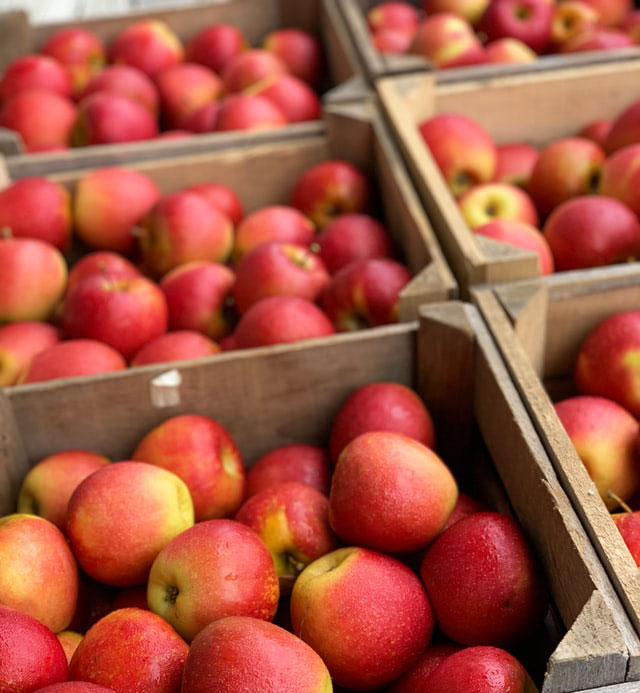 지방축적을 막아주는 음식 - 사과