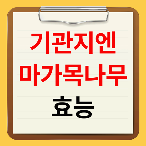 마가목나무효능