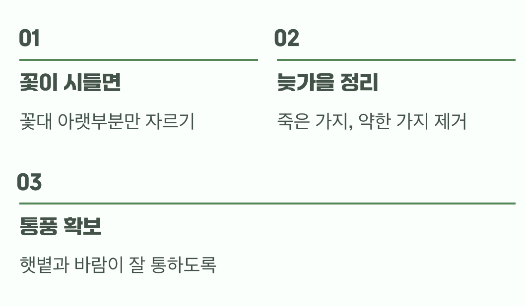 풍성한 내년을 위한 약속&amp;#44; &amp;#39;가지치기&amp;#39;