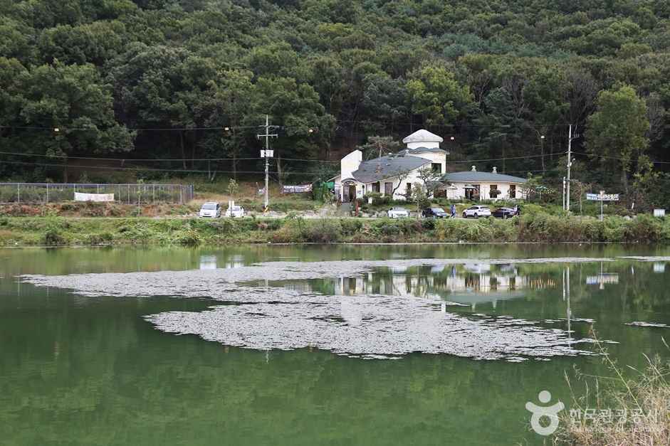 물왕호수