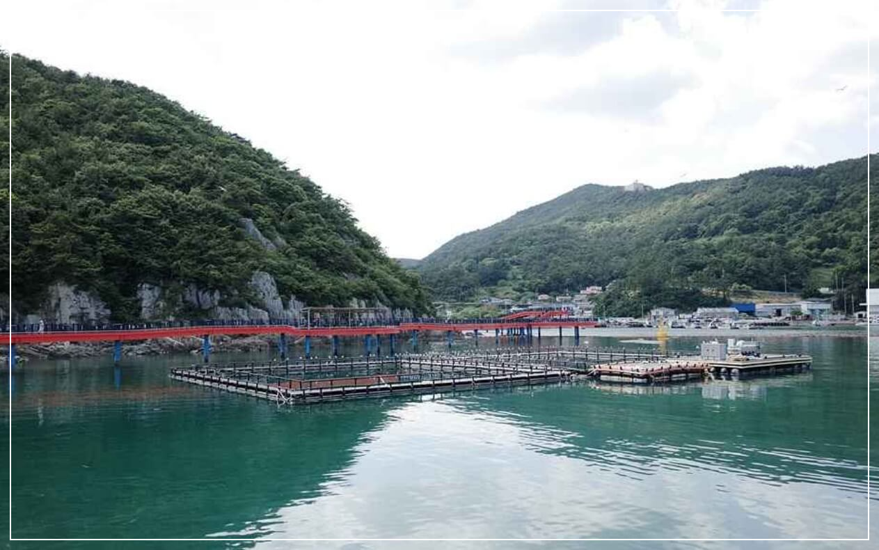 남해 가볼만한곳 베스트10 미조항 & 멸치축제