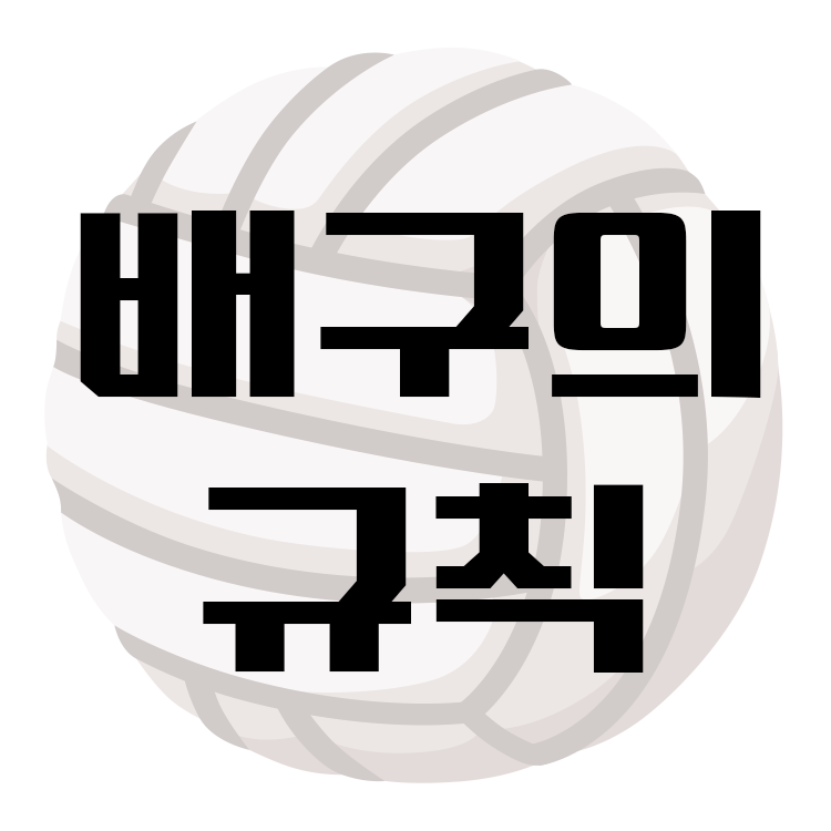 배구규칙