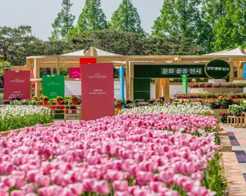 고양 꽃박람회_21