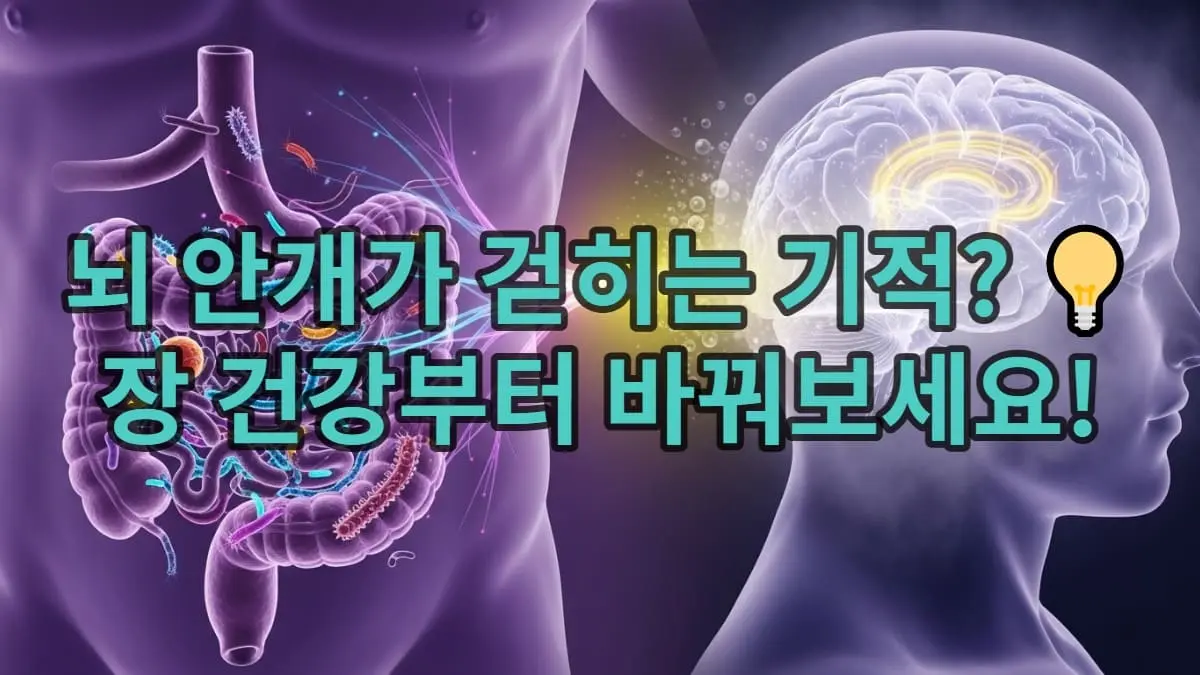 뇌와 장이 신경 다발로 연결되어 있고, 장에서 뇌로 가는 연결선이 활성화되면서 뇌를 감싸고 있던 안개가 걷히는 이미지. 장 건강이 뇌 기능에 미치는 긍정적인 영향을 시각적으로 표현.