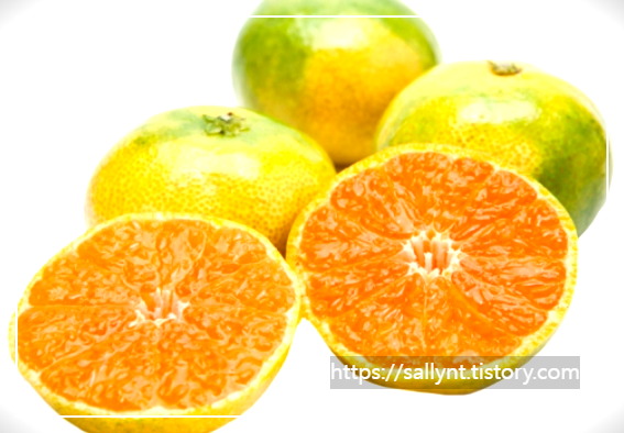 여름 귤이란