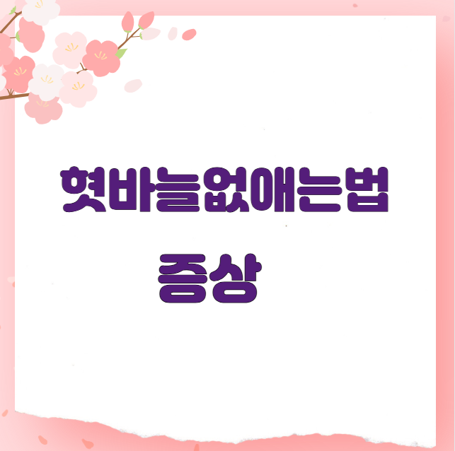 혓바늘없애는법 증상