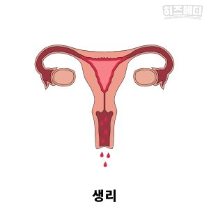 철분 많은 음식