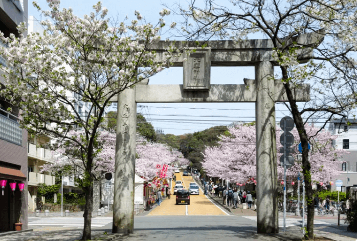 후쿠오카 벚꽃 개화시기