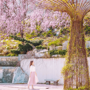 베어트리 파크 봄꽃축제와 관련된 사진