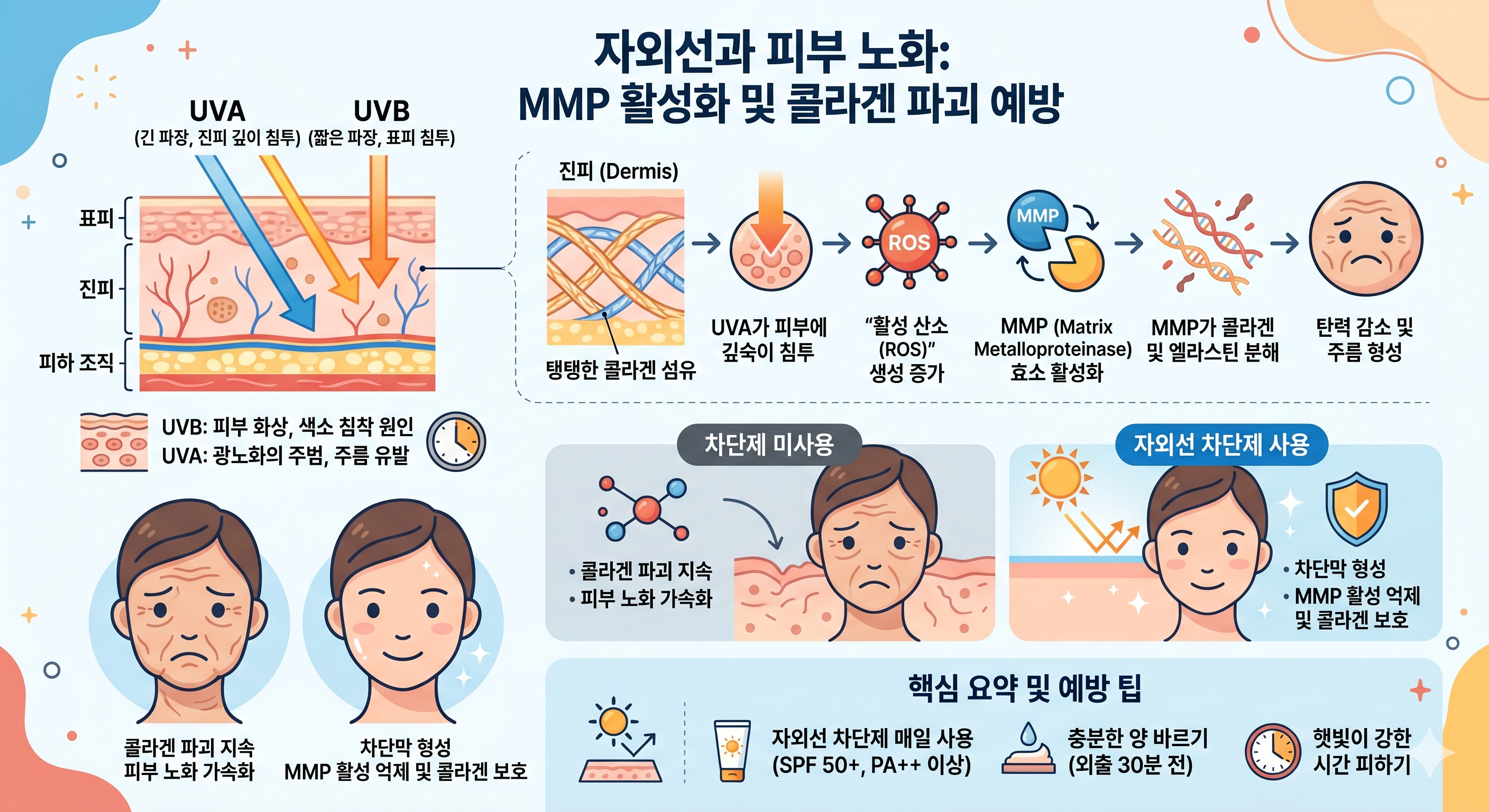자외선 UVA UVB 피부 광노화 &mdash; AP-1 MMP 콜라겐 분해 선크림 SPF PA 항산화 예방 전략