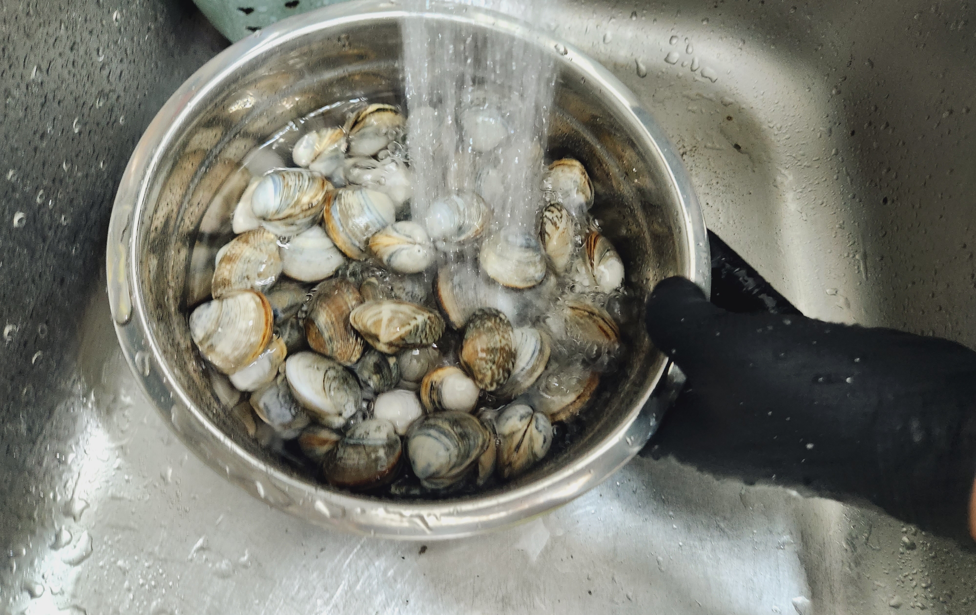 조개 바지락 꼬막 해감하는 방법 해감시간&amp;#44; 조개 요리 모음