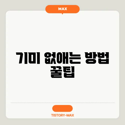 기미 없애는 방법 꿀팁