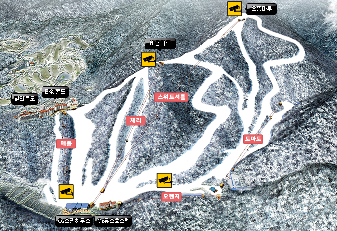 오투 리조트 실시간 웹캠