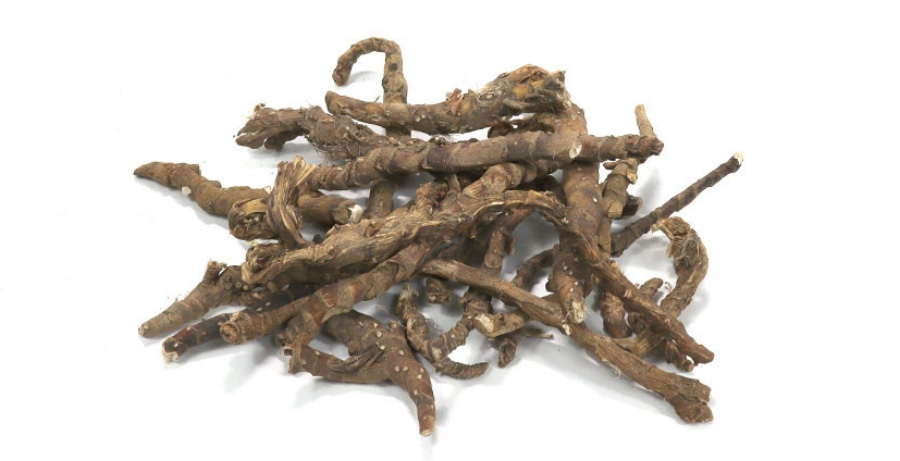 야생에서 채취를 한 석창포를 깨끗하게 세척한 후에 건조시킨 것을 하얀 바닥 위에 10여 개를 포개어 놓아두고 찍은 사진