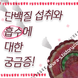 단백질-흡수-이미지