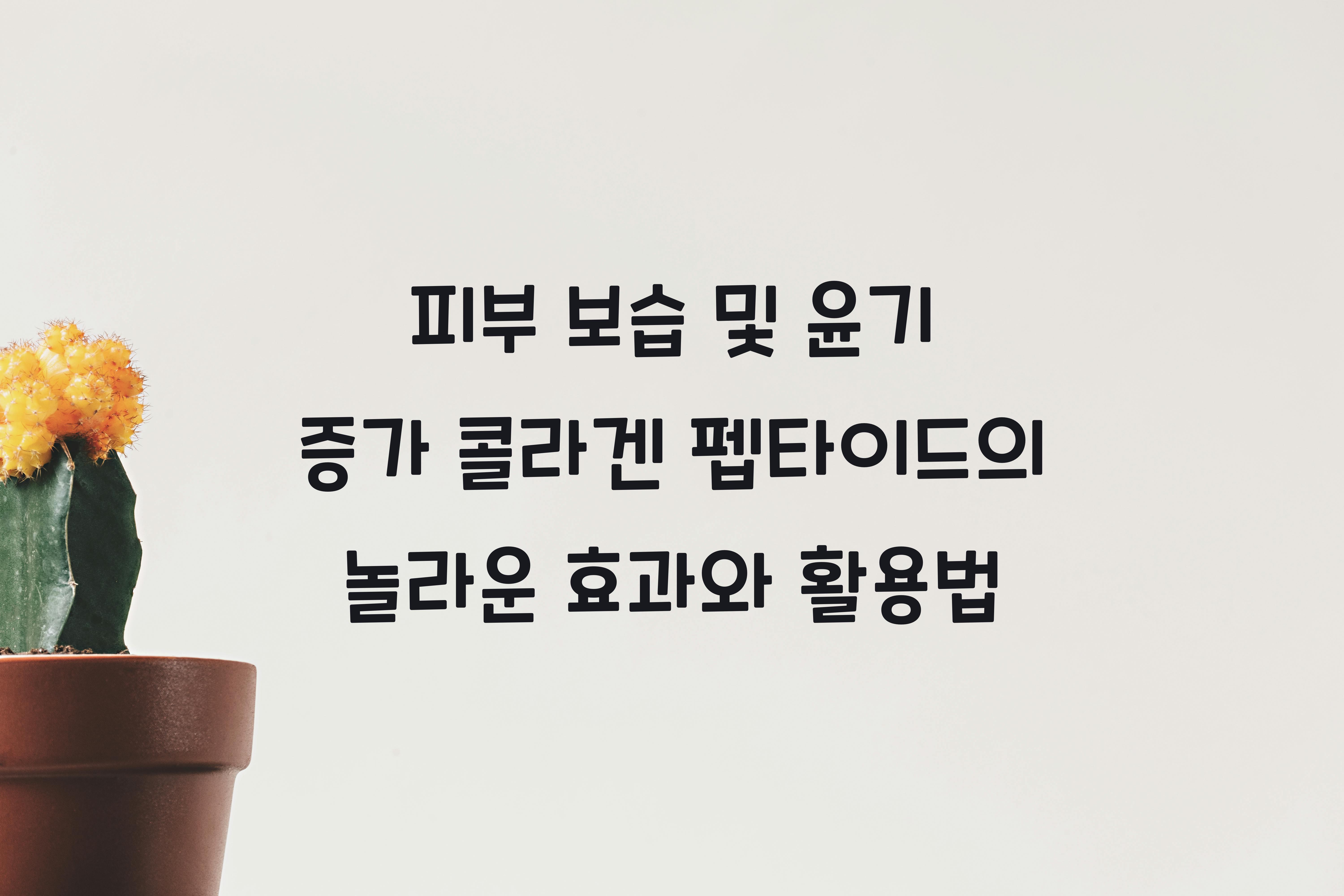 피부 보습 및 윤기 증가 콜라겐 펩타이드