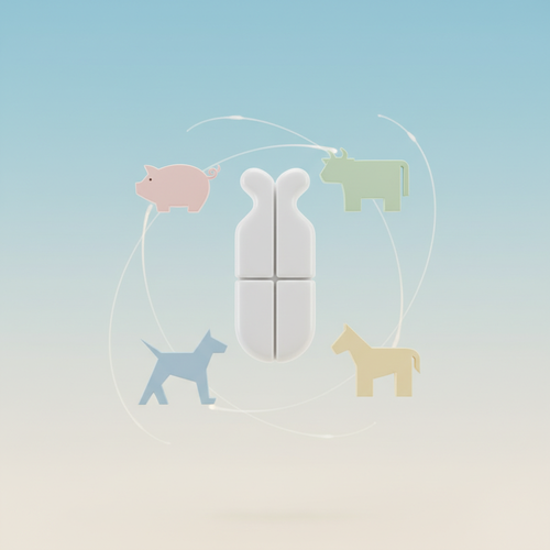 도개걸윷모&amp;#44; 그냥 부르는 이름이 아니었어요?