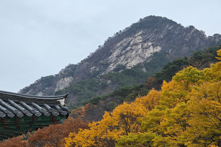 템플스테이 전국 사찰 추천