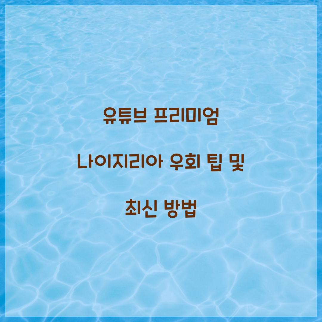 유튜브 프리미엄 나이지리아 우회
