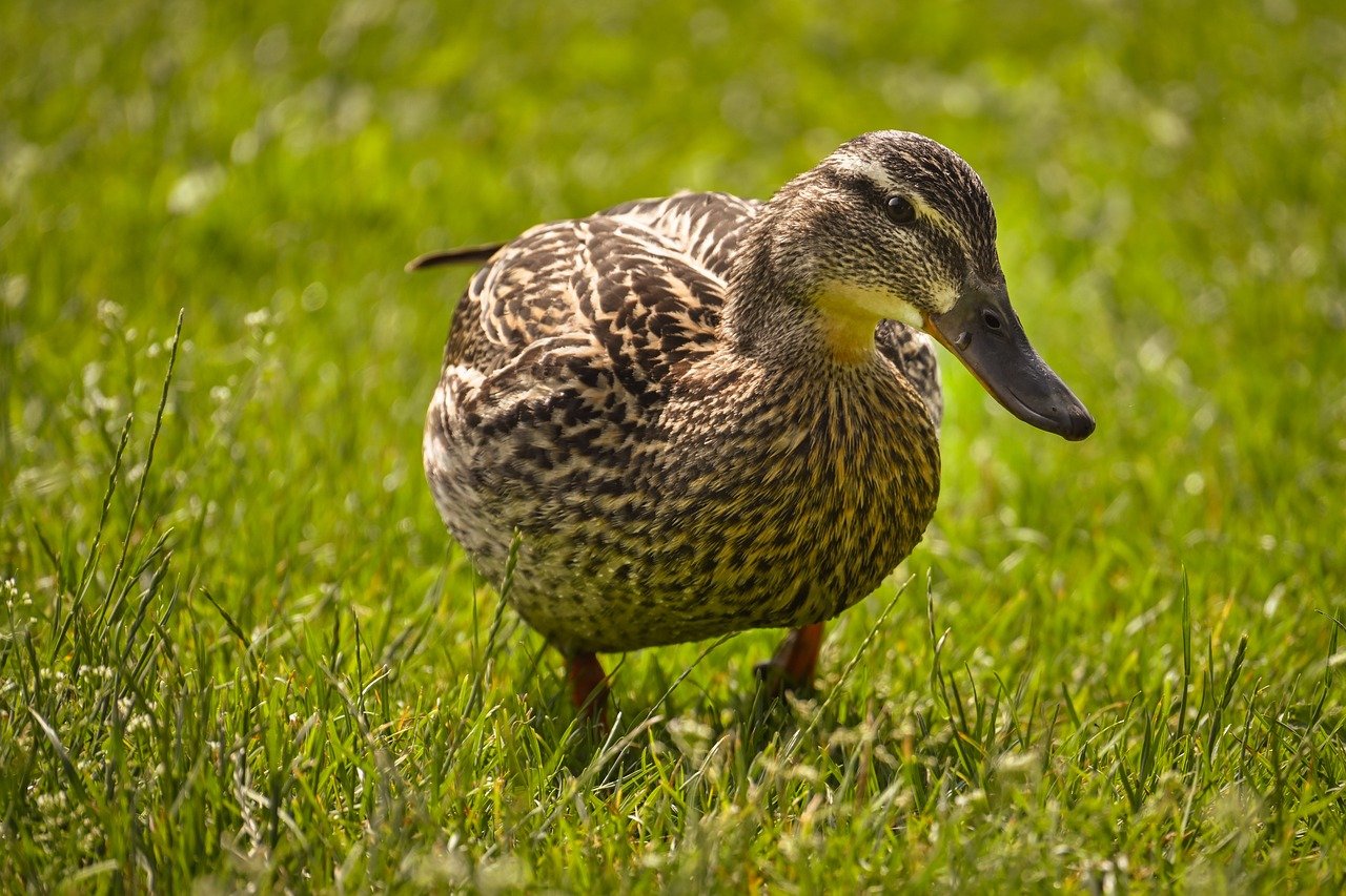 퇴직연금 계산방법