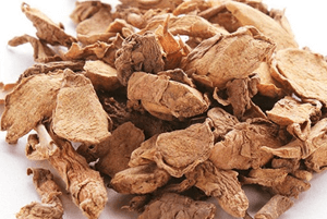 핑거루트 효능11