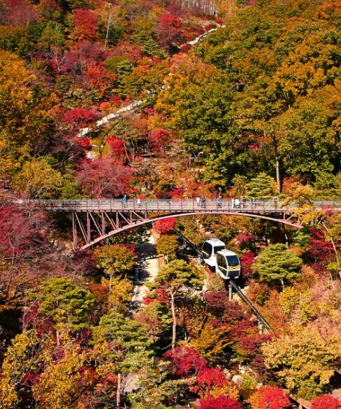 가을 단풍 명소 추천