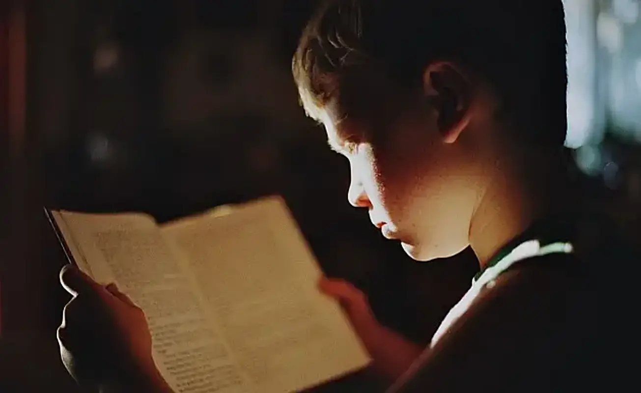 2024년 6월 모의고사 등급컷