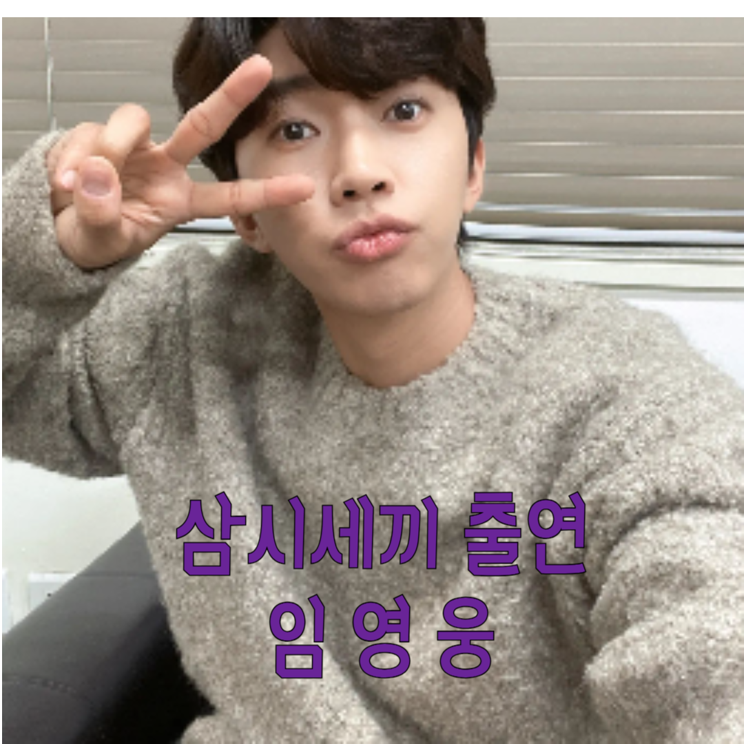 삼시세끼 임영웅 출연