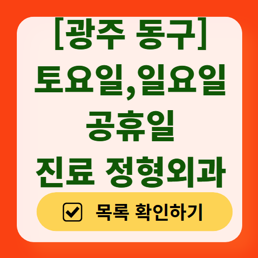 광주 동구 일요일 문 여는 정형외과 목록 ❘ 토요일, 주말, 공휴일 진료 영업 병원 리스트